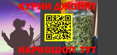 mdpv Гатчина