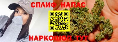 mdpv Гатчина